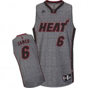 Camiseta Moda Estatica Miami Heat LeBron James #6 Gris