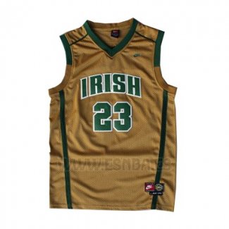 Camiseta St. Vincent-St. Mary LeBron James #23 Oro