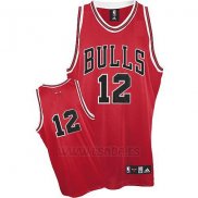 Camiseta Chicago Bulls Kirk Hinrich #12 Retro Rojo