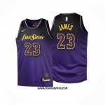 Camiseta Nino Los Angeles Lakers LeBron James #23 Ciudad 2024-25 Violeta