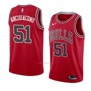 Camiseta Chicago Bulls Ryan Arcidiacono #51 Icon 2018 Rojo